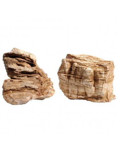 Pagoda of Light Stone 1kg