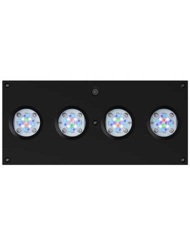 AI Hydra 64HD Black