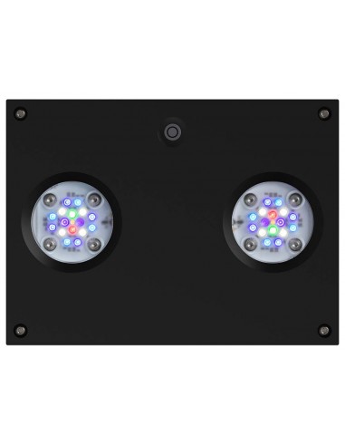 AI Hydra 32HD Black