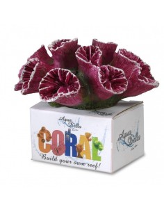 Coral Module Torch Coral...