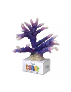 Coral Module Staghorn Coral...