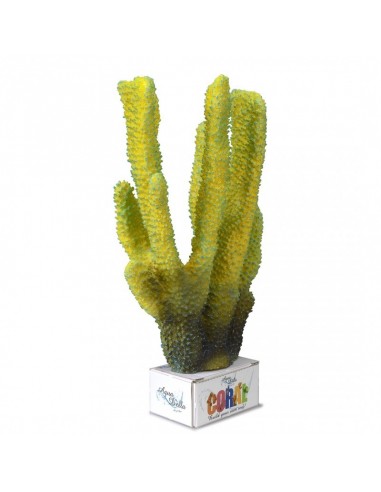 Coral Module Pilar Coral 27x16x10cm