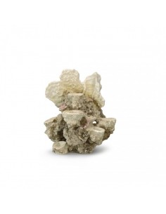 Coral Reef Medium 21x18x31cm
