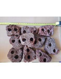 Carved Lava Stone (2 holes)...