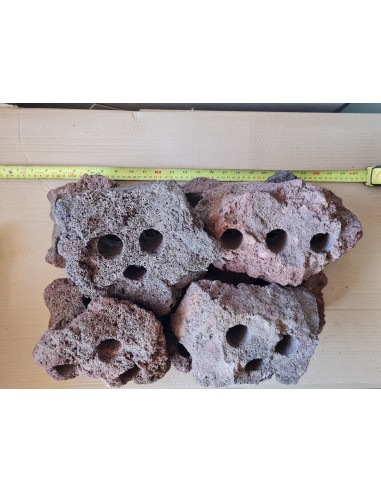 Carved Lava Stone (3 holes) 1gb