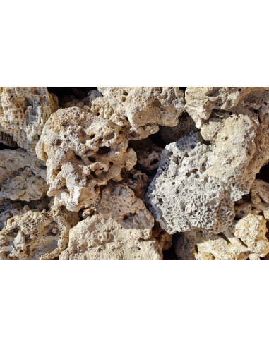 Sausa rifu akmens (Indonesia) 1kg