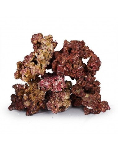Живой рифовой камень 1kg