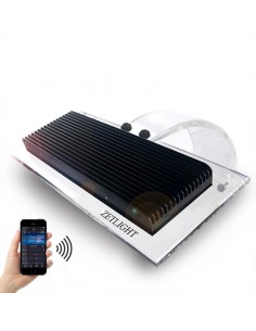 Zetlight ZA 1201 AI 2