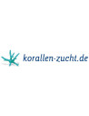 Korallen-zucht